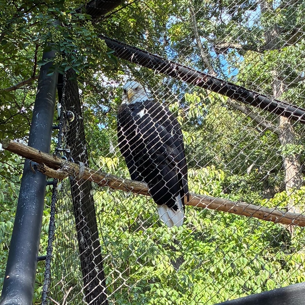 Meet your Posher, Edward